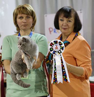 �������� ����� 22-23 ������ 2014, ������������ ��� �������� ����� 22-23 ������ 2014  ������������ ��� 169A8382 copy.jpg